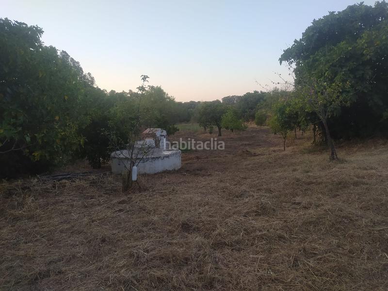 Foto f5b58700-3785-4ca3-a039-85193adf94bd. Propriété dans Villaviciosa de Córdoba