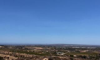 Finca rústica a Jubalcoi. Finca agrícola en producción en elche