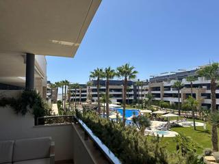 Apartament  Calle de pablo picasso. Piso en venta pablo picasso, en playa flamenca torrevieja
