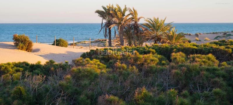 Foto a5c4a066-71ad-4512-8045-c776f28b5ade. Piso ático con vistas al río en guardamar obra nueva en Guardamar del Segura