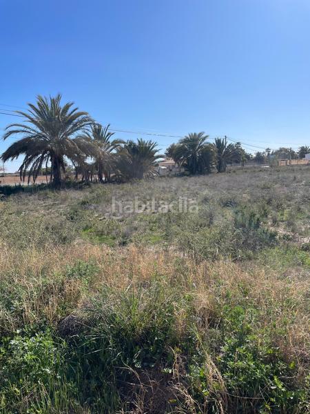 Foto 235c2f7f-ad82-4591-8be0-7880f6dfddd6. Rural plot in carretera cv 853 in La Foia - Daimés - Asprella Elche / Elx