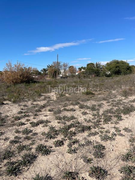 Foto 81028fab-8565-4c4c-8ebf-5b2d05465e1e. Rural plot in carretera cv 853 in La Foia - Daimés - Asprella Elche / Elx