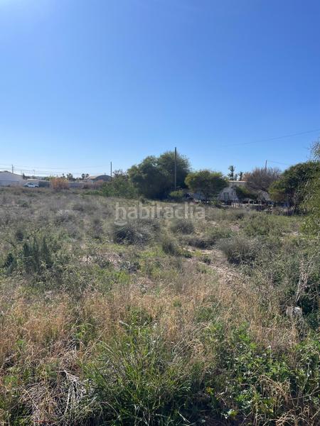 Foto ab64d62f-05c6-4a4a-a73d-eaa69f5ddd98. Rural plot in carretera cv 853 in La Foia - Daimés - Asprella Elche / Elx