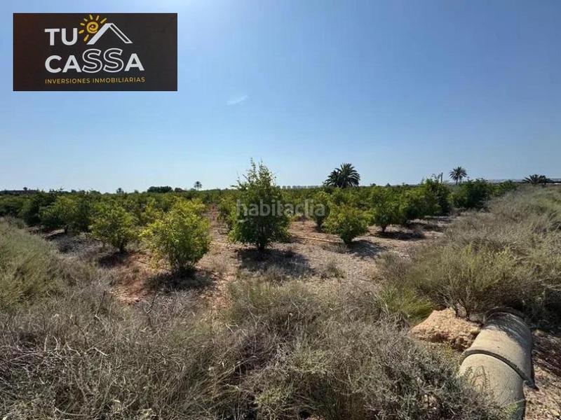 Foto 008c7f7d-5fef-4439-8bbd-77a99b075c1c. Finca rústica a camino viejo de alicante a El Altet Elche / Elx