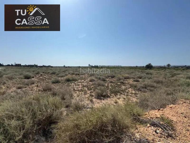 Foto 223a96a6-399f-4332-ad1f-3838f4e14a9b. Finca rústica a camino viejo de alicante a El Altet Elche / Elx