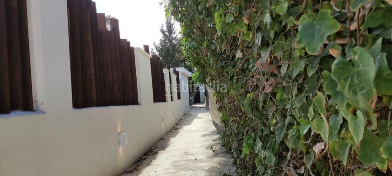 Foto 7bbc735e-aadf-40f1-ae2f-104d5ea3cb51. Alquiler chalet vivienda en alquiler en Valverde Elche / Elx