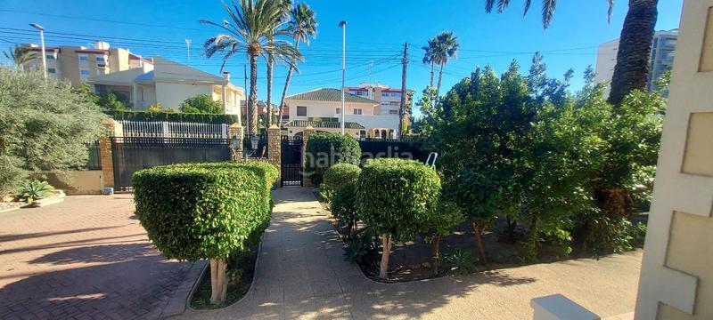 Foto d5d402fc-8a66-4c65-9002-2067508b8f30. Chalet dans Ciutat Jardí - Torreta Verdí Elche / Elx