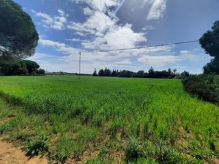 Finca rstica en Ruperto 1. Terreno en venta en casa de postas