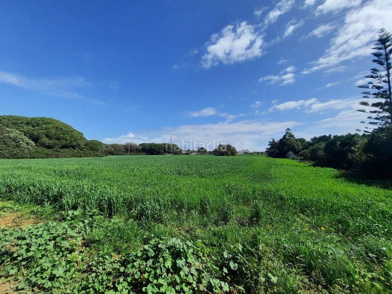 Foto 279df1db-735a-4092-83bd-9e109663f826. Finca rústica a ruperto 1 a Roche Conil de la Frontera