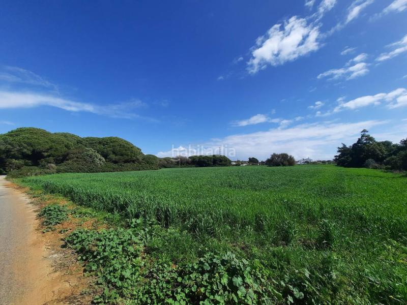 Foto 41a75f0a-4978-4438-974c-fd76d39b5265. Finca rústica a ruperto 1 a Roche Conil de la Frontera