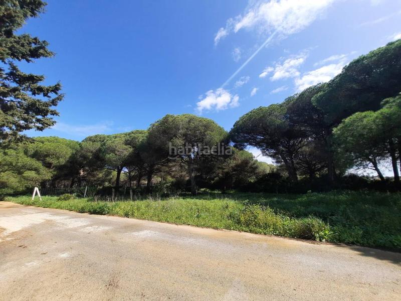 Foto 427d7b13-5502-45a0-9dad-7899db3b952a. Finca rústica a ruperto 1 a Roche Conil de la Frontera