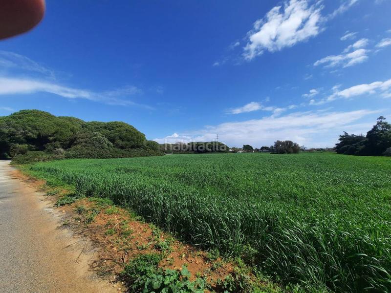 Foto 60c6cc91-9f17-4ecb-be7e-ea869969c682. Finca rústica a ruperto 1 a Roche Conil de la Frontera