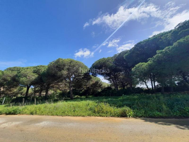 Foto e80418e8-4aca-45a7-91d7-a10a67c7a38a. Finca rústica a ruperto 1 a Roche Conil de la Frontera