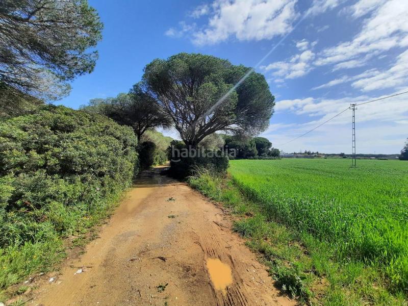 Foto ee1e5d06-d812-43d9-9f8e-041439a69a74. Finca rústica a ruperto 1 a Roche Conil de la Frontera