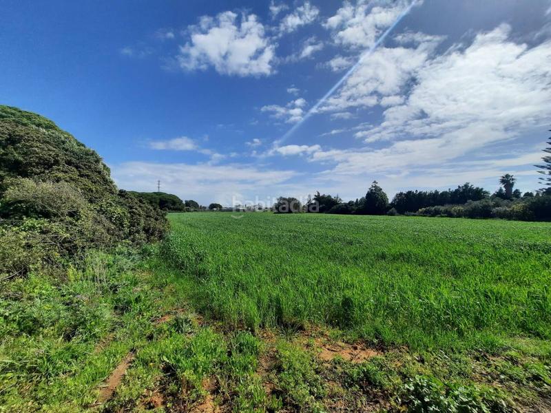 Foto eea4fea6-4282-4583-aac9-942c2932b2d1. Finca rústica a ruperto 1 a Roche Conil de la Frontera