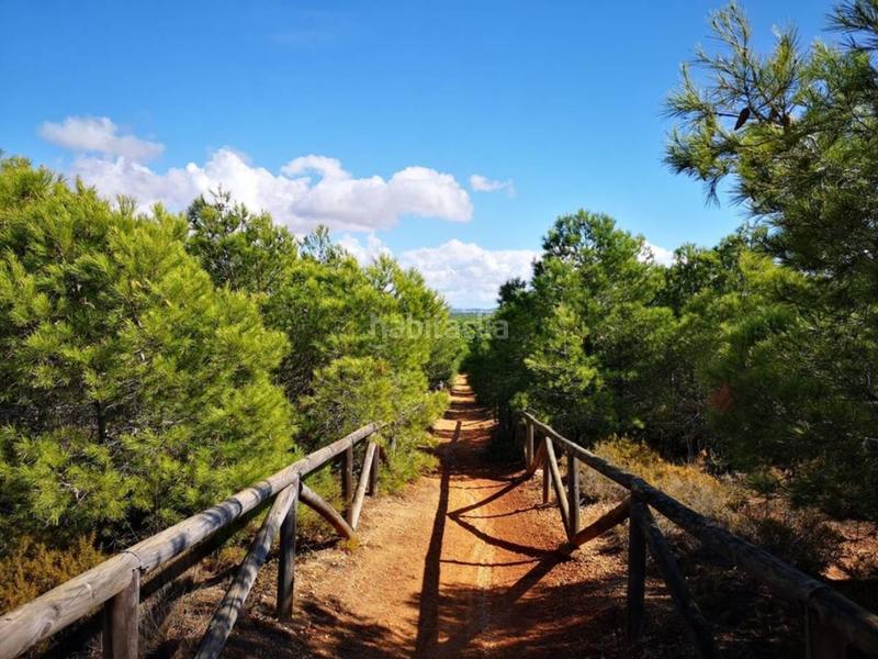 Foto 483f1ef6-946f-4303-b2f7-0063702b8332. Local comercial en nacional 340 1 local de 400m2 para explotación comercialhotelera en Conil de la Frontera