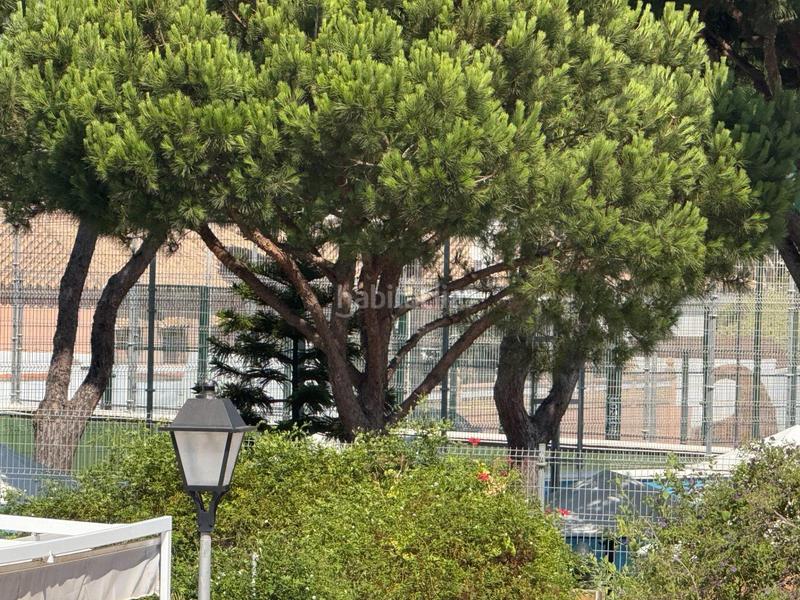 Foto fafd39f0-b1a7-47e5-bd7a-9f36efa14ec0. Casa a schiera con riscaldamento piscina in La Barrosa Chiclana de la Frontera