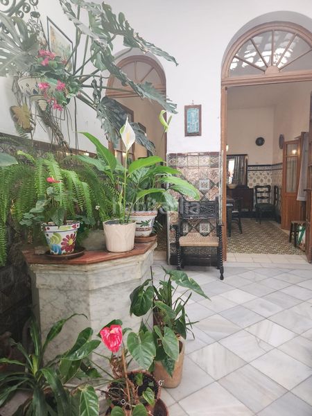 Foto 2a99ec79-819d-40ee-81ee-52db283032fe. Casa a Barriada de Andalucía - Ardila San Fernando