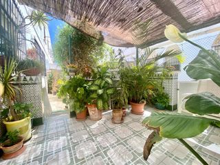 Ground floor  Calle calle ortega y gasset. Vivienda amplia con patiojard�n, 5 habitaciones y trastero