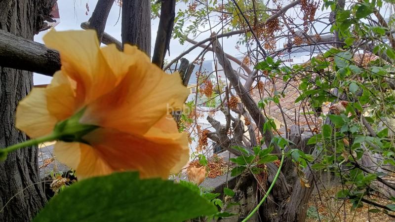 Foto 546a74e3-e31b-430a-b1d3-ae04c2a3a24f. Haus in Santa Cruz de la Palma