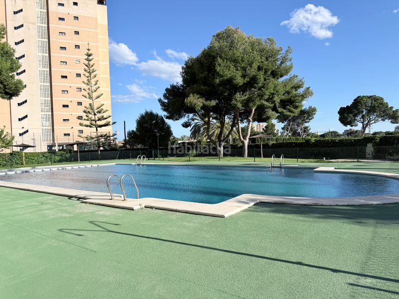 Foto a81c01b1-f459-4b89-9caa-6b8ba708a58f. Pis amb calefacció piscina a Playa Muchavista Campello (el)
