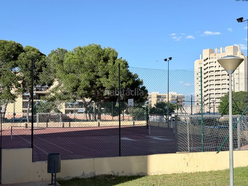 Foto ad3afd8b-18b1-4f7f-948d-eeda7c2c7ad0. Pis amb calefacció piscina a Playa Muchavista Campello (el)