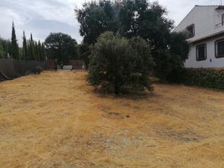 Wohngrundstück in Alcolea. Parcela urbana lista para construir tu nuevo hogar