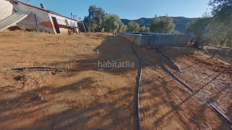 Foto 1401b351-d903-473c-8572-376343ef9be2. Terreno residencial en Obejo