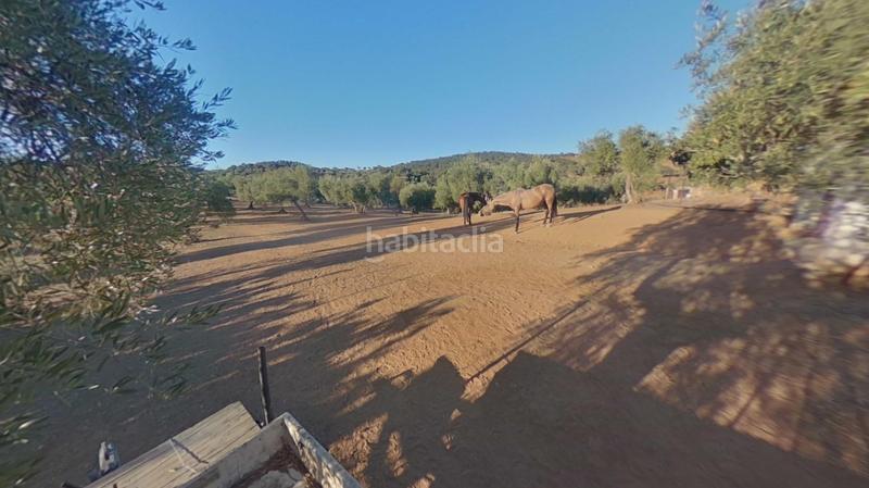 Foto 234e2393-7d16-44b5-92bb-d4f59aedd0c5. Terreno residencial en Obejo