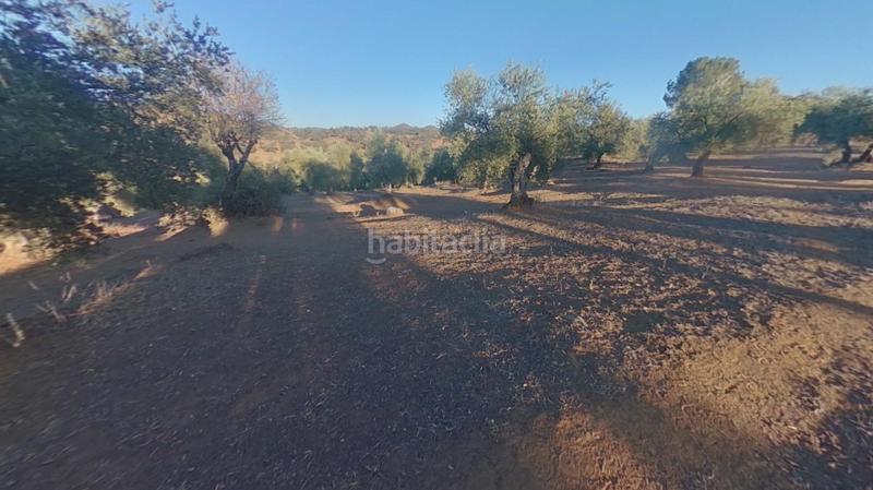 Foto 302632d5-1574-4485-b403-026f8fdc76f7. Terreno residencial en Obejo