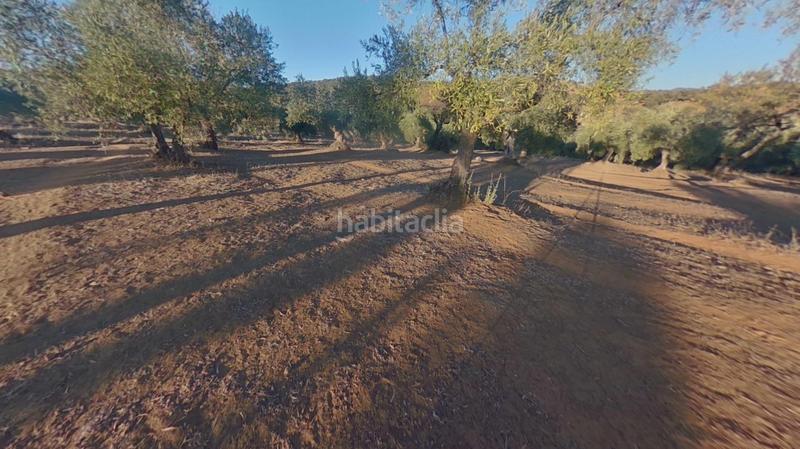 Foto 4f45dbc9-cb33-4118-9731-68cc1c6029fa. Terreno residencial en Obejo