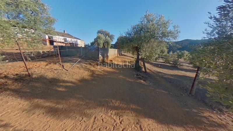 Foto 53b3f3dd-cd30-4773-9f8e-5711593b5674. Terreno residencial en Obejo