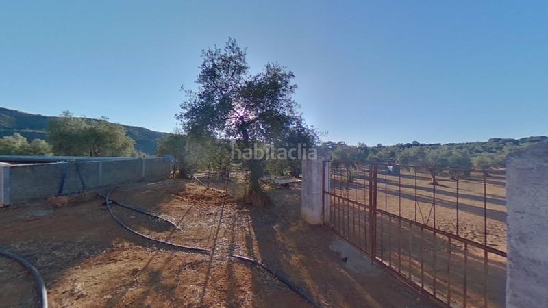 Foto 5b0653fe-bfc4-4163-9d1a-6bff11f61b51. Terreno residencial en Obejo