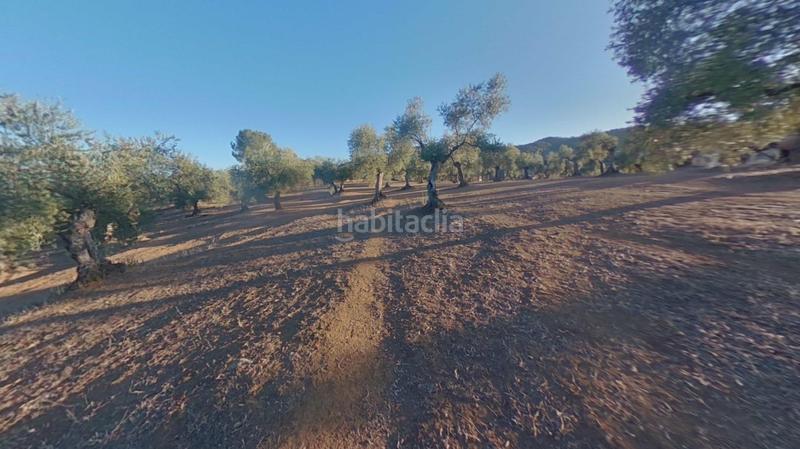 Foto 9a7cc962-8db7-4b0a-8d9d-dd960215d4e9. Terreno residencial en Obejo