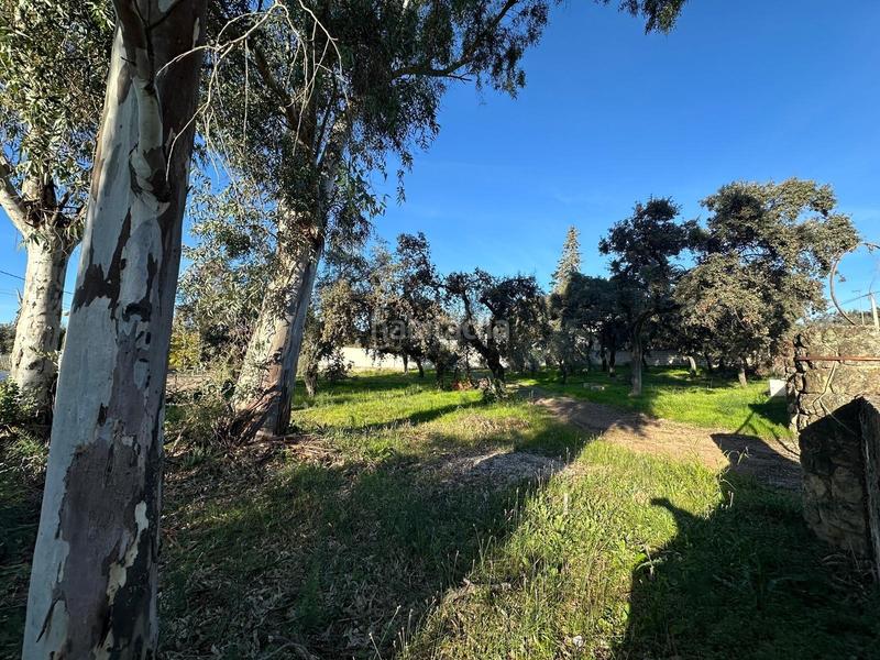 Foto ca20a387-01da-48b7-a2f2-3555f2346357. Terreno residencial amplia parcela en venta en zona brillantesansueña, cordoba en Córdoba