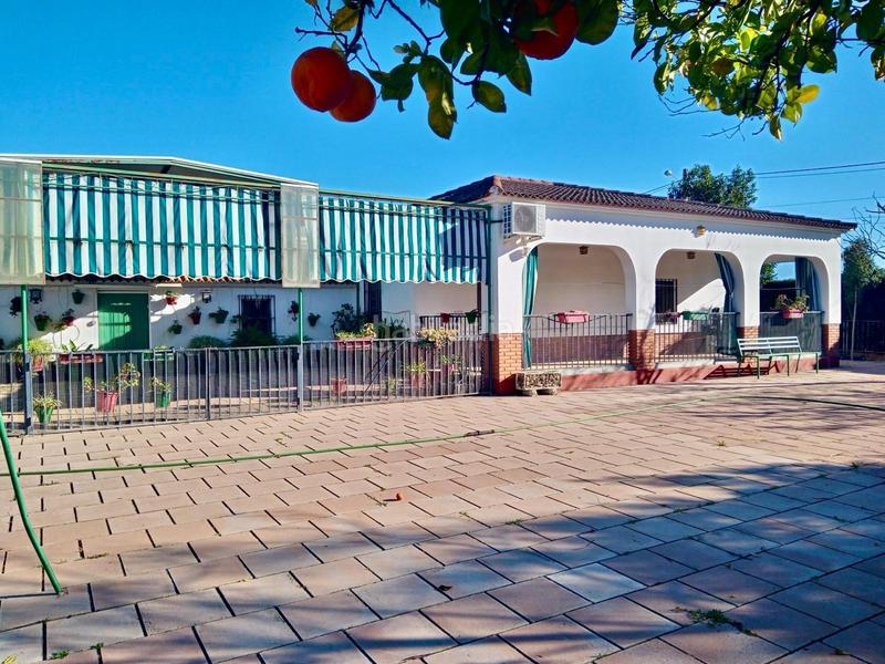 Foto 2ad241f0-4d9a-49a7-9f2f-0efe296dcc8f. Xalet amb calefacció aparcament piscina a Carlota (La)