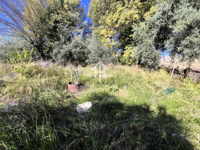 Foto 299e8702-4a03-4ada-af3c-adabd2461994. Finca rústica finca rustica en venta en venta santa bárbara en Loja