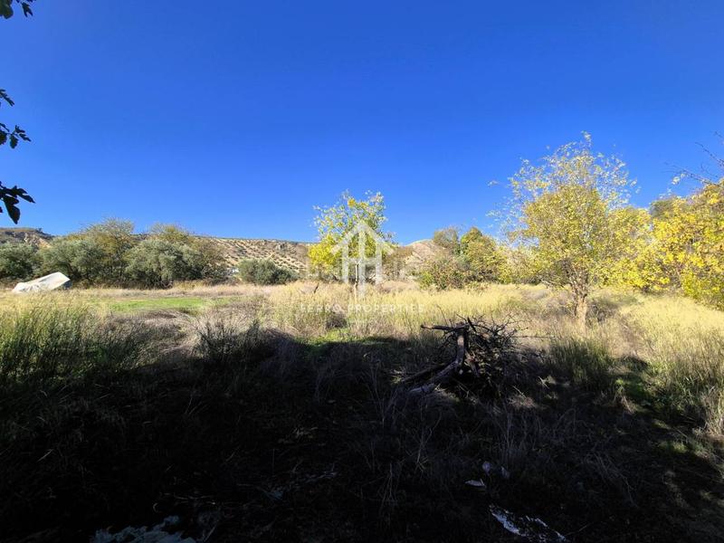 Foto 363cc8d2-e360-4720-8d51-36f82a85c0c5. Finca rústica finca rustica en venta en venta santa bárbara en Loja