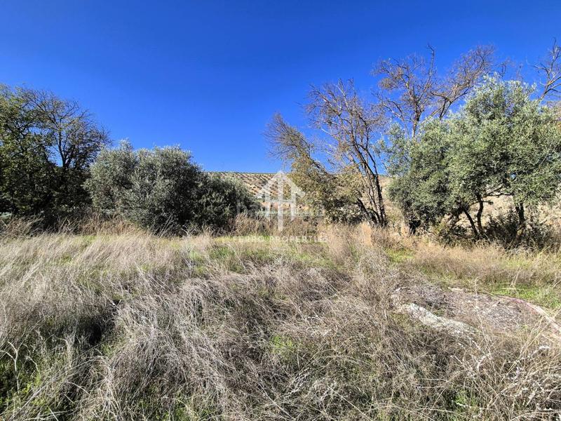 Foto 3f30f2ac-4d68-49d6-a87f-07eb067779ed. Finca rústica finca rustica en venta en venta santa bárbara en Loja
