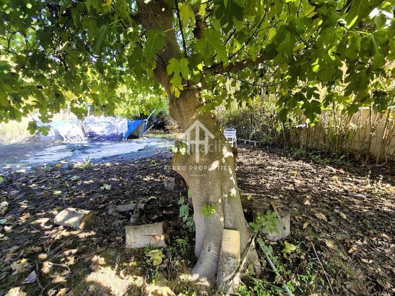 Foto 58d0ddcd-7d54-4126-bd3e-0f18d4d144af. Finca rústica finca rustica en venta en venta santa bárbara en Loja