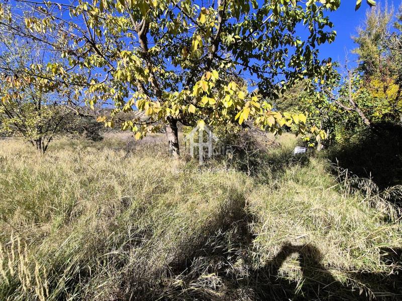 Foto 86c84d5a-1361-4ea8-988d-46a2680da35f. Finca rústica finca rustica en venta en venta santa bárbara en Loja