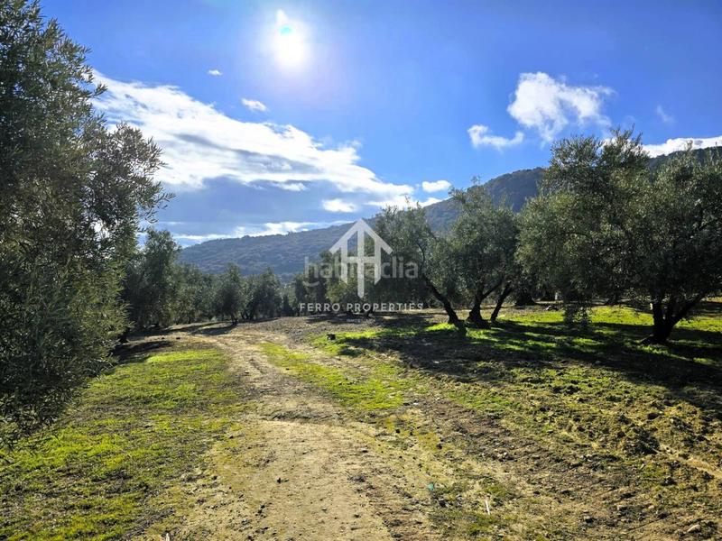 Foto d4fe39a6-b7fc-4dbc-a005-25d427f702ae. Finca rústica venta de finca rústica en Loja