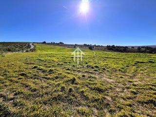 Terreny residencial a Alhama de Granada. Finca rustica en alhama de granada
