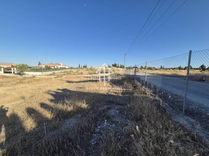 Foto 55c9913e-37a1-462b-9c60-9968b5339684. Finca rústica a Moraleda de Zafayona