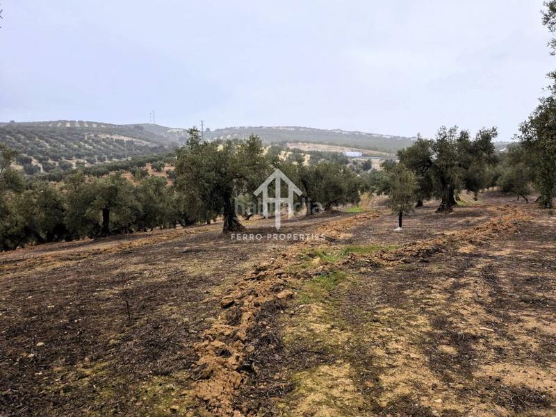 Foto 12d7ac09-aa8b-4efd-b034-2d27b15b6d81. Propriété dans riofrio 1 dans Loja