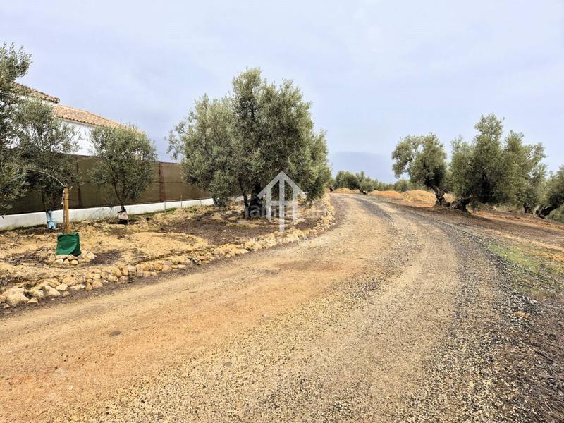 Foto 79f23973-4202-497a-bd39-e3a467ee084a. Propriété dans riofrio 1 dans Loja