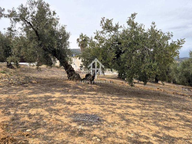 Foto 8a17259b-f714-4178-b542-f3c3b45f4053. Propriété dans riofrio 1 dans Loja