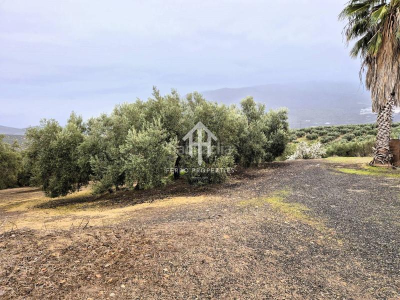 Foto a9935523-d00f-4018-9b5f-a793dfaa2a16. Propriété dans riofrio 1 dans Loja