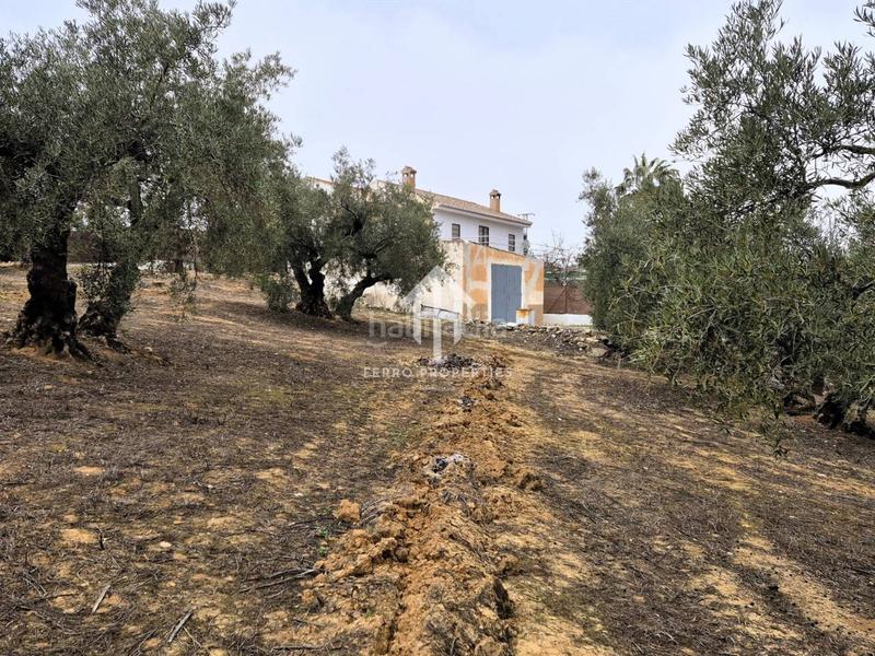 Foto abc8b0ad-2b14-4fb8-abbc-a50a65eba7e1. Propriété dans riofrio 1 dans Loja