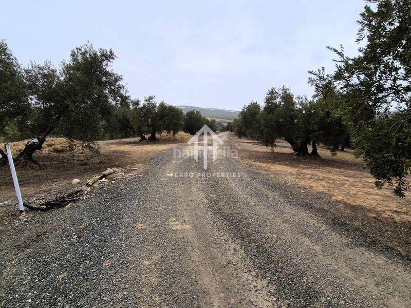 Foto d1c7e9d8-d1bb-4e1b-8d07-c941fbe8a78f. Propriété dans riofrio 1 dans Loja